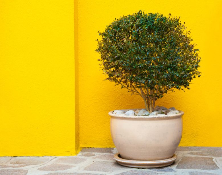 choisir un pot haut extérieur adapté à votre jardin