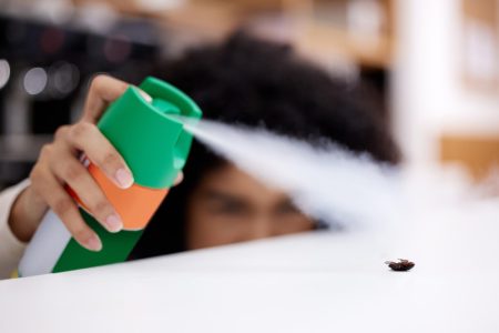 Guide pratique pour détecter et se débarrasser efficacement des insectes dans votre domicile