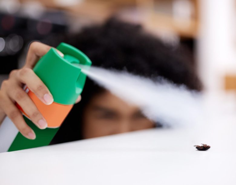 Guide pratique pour détecter et se débarrasser efficacement des insectes dans votre domicile