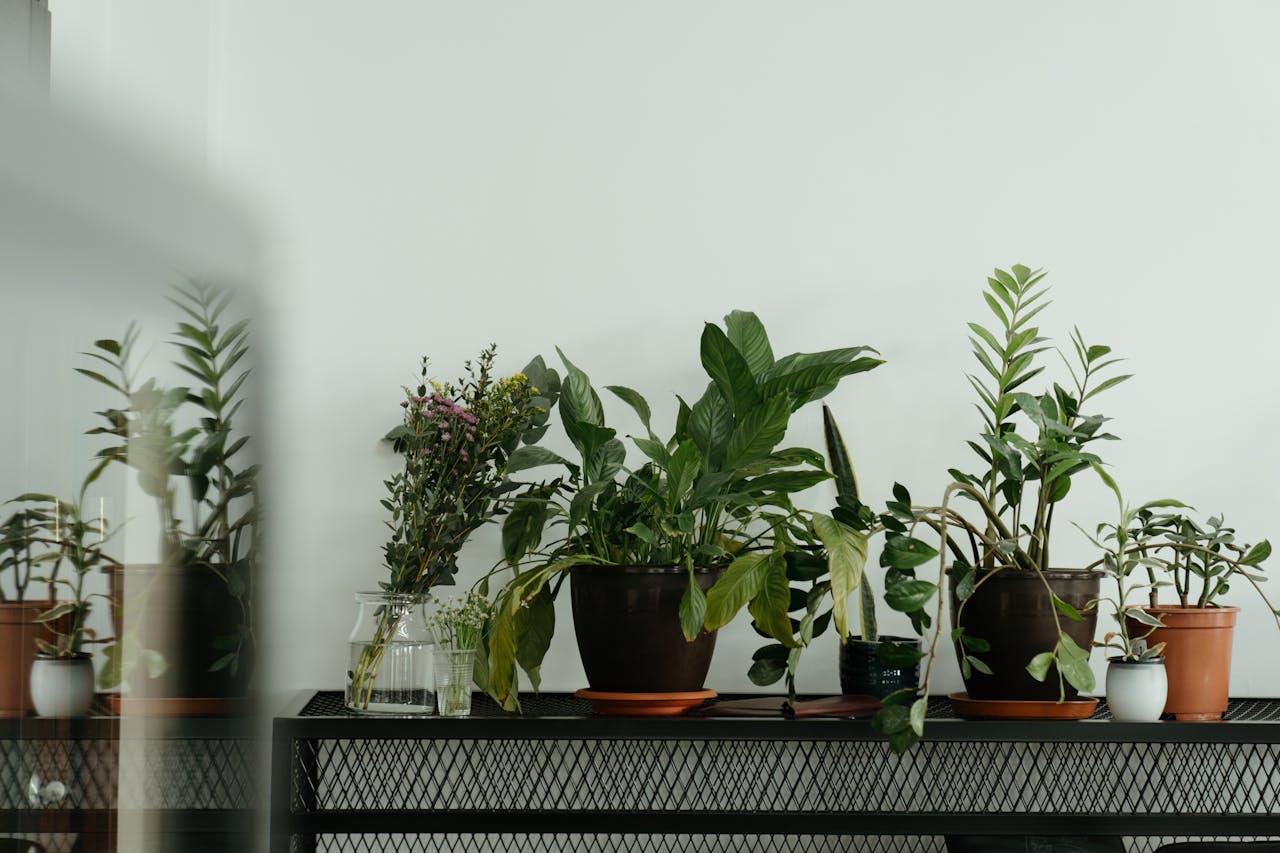  conseils pour Décorer un grand mur de salon 