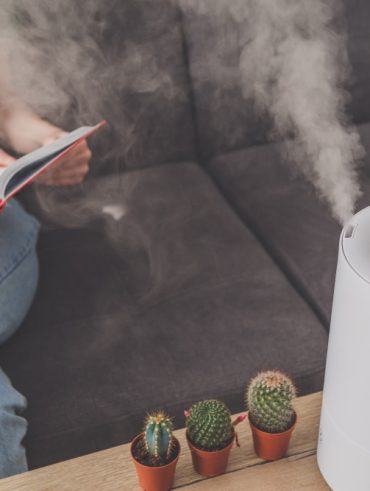 Comment purifier sa maison
