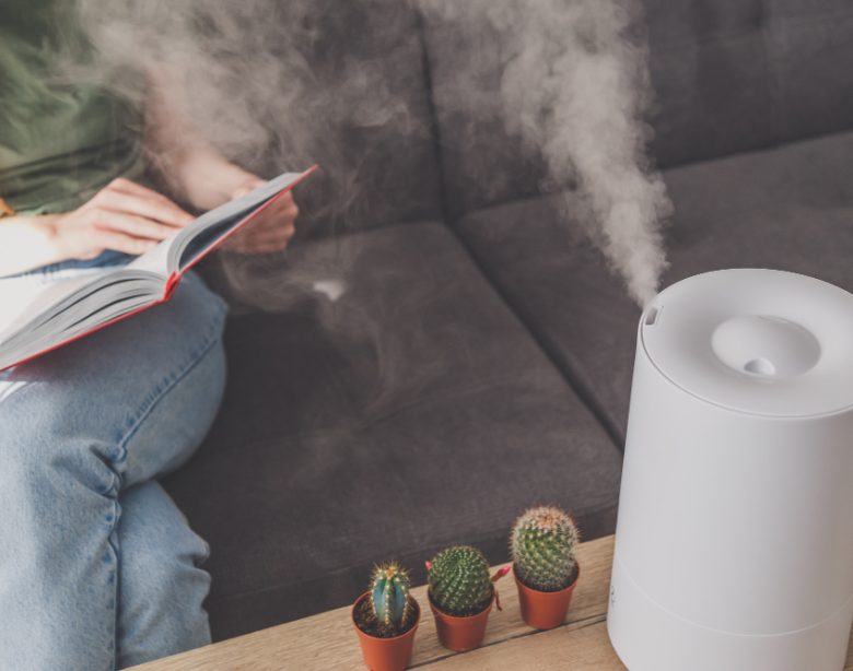 Comment purifier sa maison