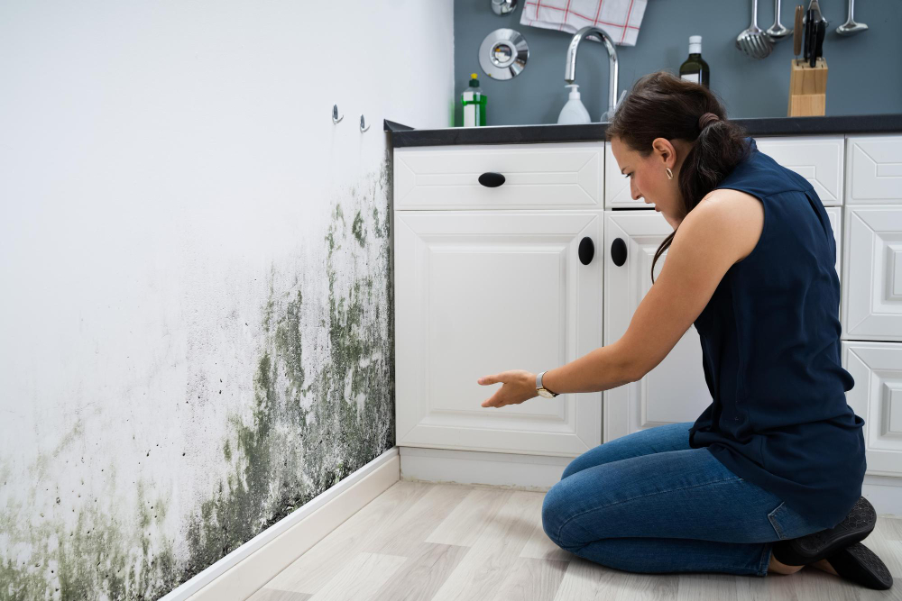 Humidité dans une maison